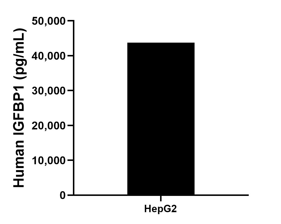 HepG2 cells were cultured in DMEM supplemented with 10% fetal bovine serum, 2.5 mM L-glutamine, 100 U/mL penicillin, and 100 μg/mL streptomycin sulfate. An aliquot of the cell culture supernate was removed, assayed for human IGFBP1, and measured 43,726.4 pg/mL.